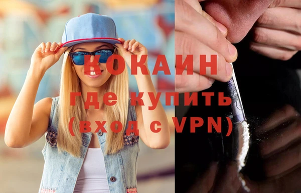 индика Алзамай