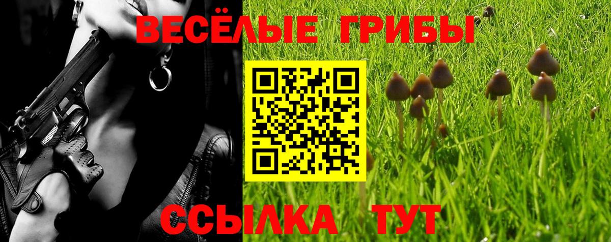 Норильск  где можно купить   Вход с VPN  Псилоцибиновые грибы мицелий 