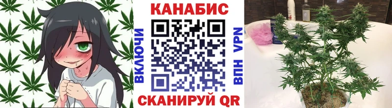 сколько стоит  Норильск  Каннабис THC 21% 